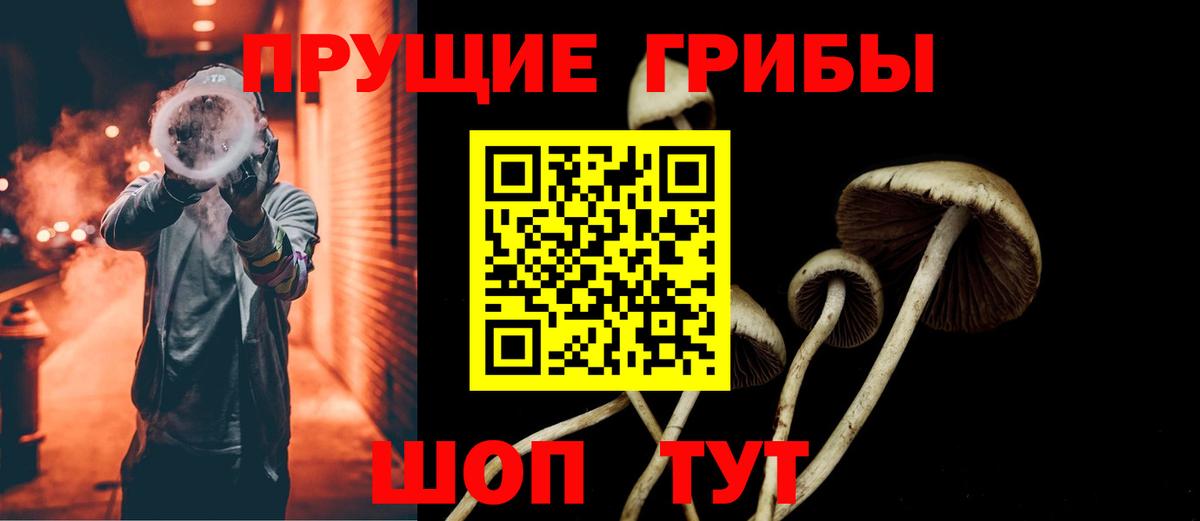 Галлюциногенные грибы Psilocybe Лянтор